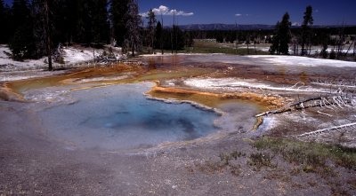 Yellowstone National Park:  Firehole Spring