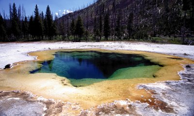Yellowstone National Park:  Emerald Pool