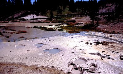 Yellowstone National Park:  Trail along mud volcanos
