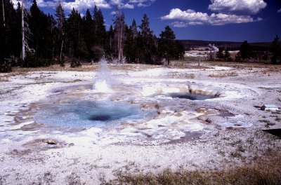 Yellowstone National Park:  Spasmodic Geyser