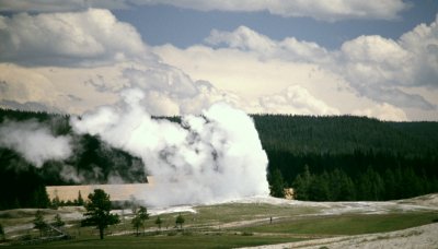 Yellowstone National Park:  Old Faithful