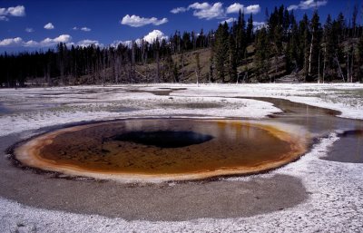 Yellowstone National Park:  Chromatic Pool