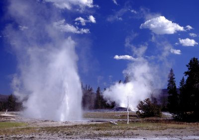 Yellowstone National Park:  Spa Geyser