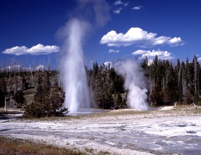 Yellowstone National Park:  Rocket Geyser