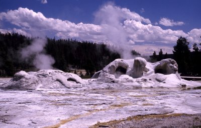 Yellowstone National Park:  Grotto Geyser in 1985