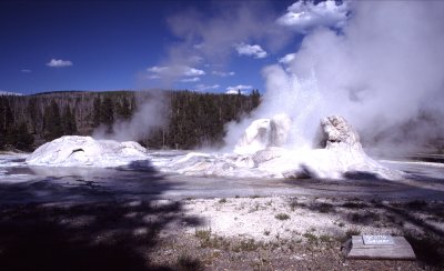 Yellowstone National Park:  Grotto Geyser