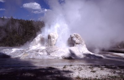 Yellowstone National Park:  Grotto Geyser