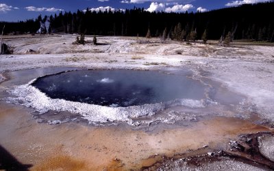 Yellowstone National Park:  Crested Pool