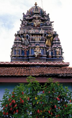 One of Penang's Hindu temples