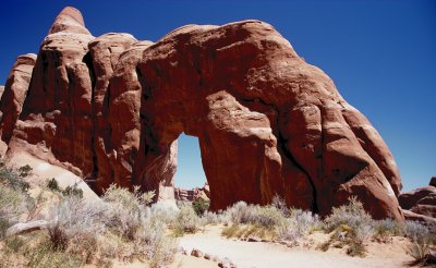Arches National Park: Pine Tree Arch