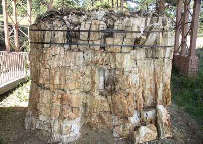 Florissant Fossil Beds National Monument