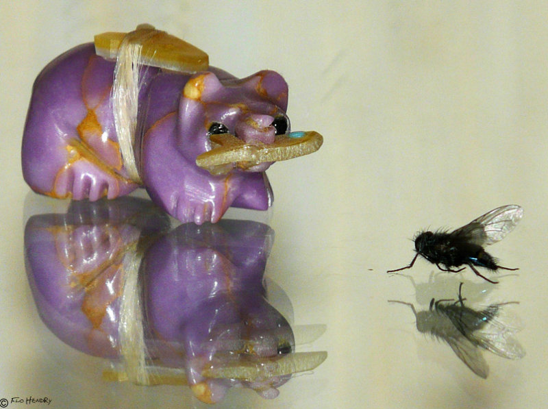 Offering for the Minibeast