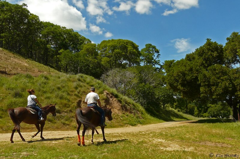 Ride the Country