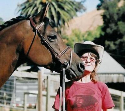 Wyndi, my Arab mare & me