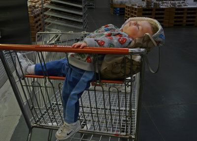 Shopping cart sleeper