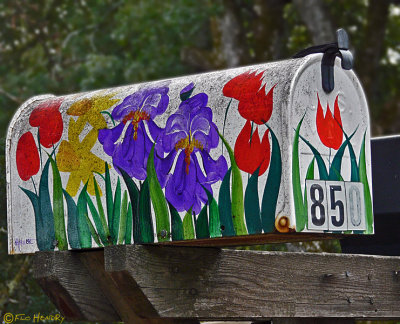 Painted _ Flowered Mailbox