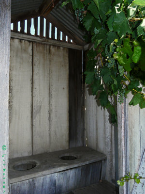 Borges Ranch Outhouse_0009_edited-1.jpg