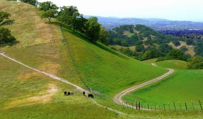 The Grass is Greener on the Other Side of the Fence