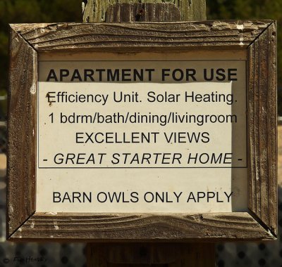 Sugarloaf owl house-1_edited-1.jpg