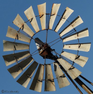 The windmill_0007_edited-1.jpg