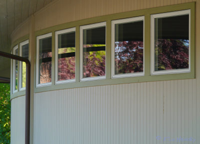 Gateway Clubhouse - Library Windows