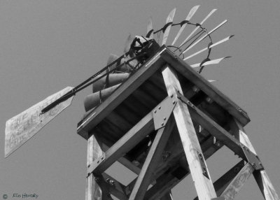 Windmill at Borges Ranch