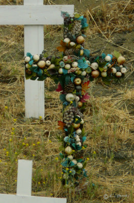 Fruited Cross Memorial Day 2008