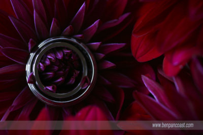 Flower rings.jpg