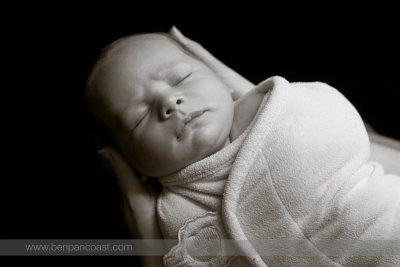 Newborn_Photographer_Saint Joesph_Mi.jpg