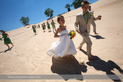 wedding party on the beach.jpg