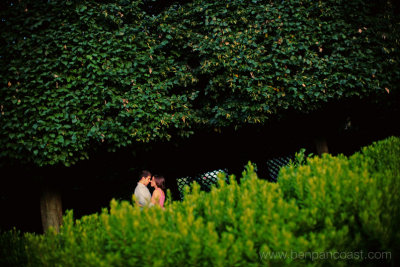 Chicago_Botanical_engagement_photo.jpg