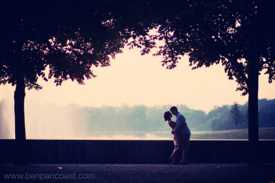 Chicago_Botanical_engagement_picture.jpg