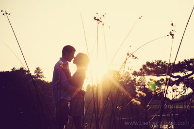 Chicago_Botanical_Garden_engagement.jpg