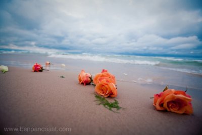Flowers_on_the_Beach.jpg