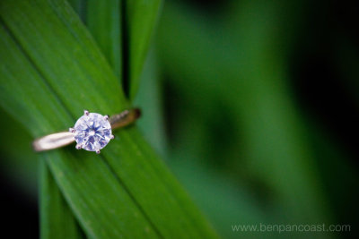 The_Ring_at_the_Blue_Dress_Barn.jpg