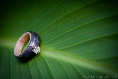 Mill Creek 627_ring.jpg
