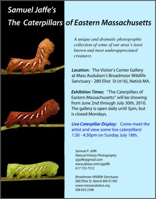 2010 Broadmoor Caterpillar Show
