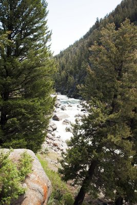 Lamar River (Yellowstone)