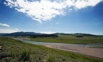 Lamar River (Yellowstone)