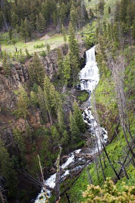 Blacktail Deer Plateau (Yellowstone)