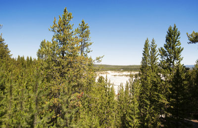 Norris thermal area (Yellowstone)