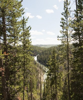 Yellowstone National Park