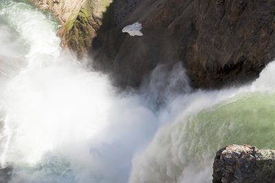 Lower Falls (Yellowstone River)