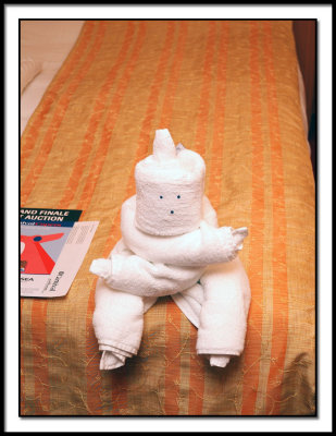 Ninja Towel