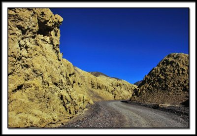 Driving Through Mustard Canyon