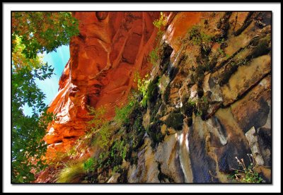 Cliff Wall and Overhang