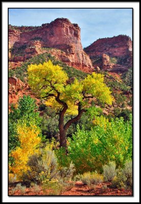 John Brown Road Scenery