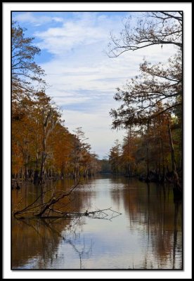 Typical Waterway in the Atchafalaya Basin
