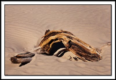 Travels- Death Valley and Environs