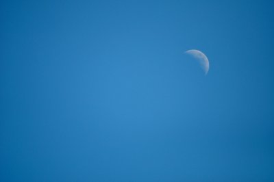 A Cresent Moon